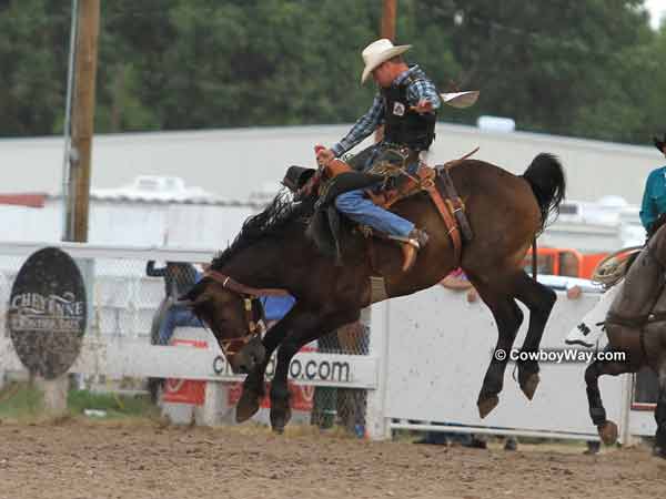 Saddle bronc rider Justin Caylor, Andalusia, AL on saddle bronc General Tom