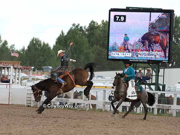 A saddle bronc rider and his bronc 
buck in front of the big screen