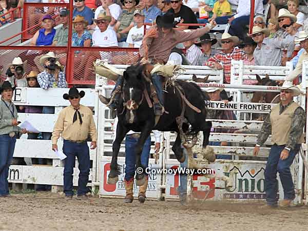 Saddle bronc rider Sterling Crawley, College Station, TX and saddle
bronc MGM Saddle bronc rider
Sterling Crawley, College Station, TX and saddle bronc MGM