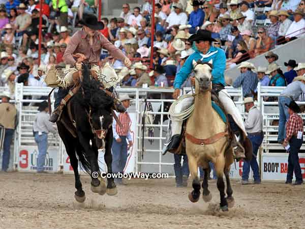 A saddle bronc rider looks 
for a pickup man