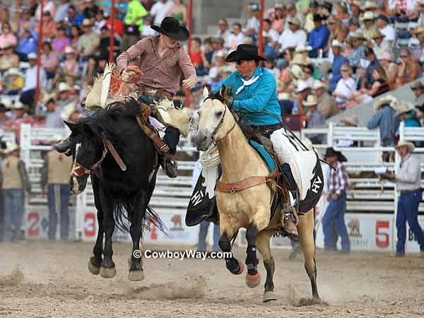 A pickup man closes in on a saddle 
bronc rider