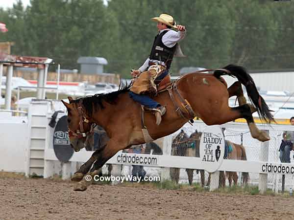 Saddle bronc riding at Cheyenne Frontier Days