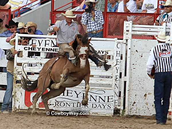 A saddle bronc rider