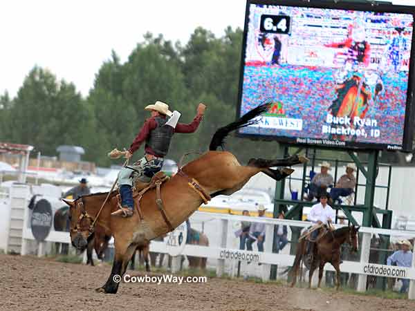 Saddle bronc rider Buck Ryan and Stepper Saddle bronc rider Buck Ryan and Stepper