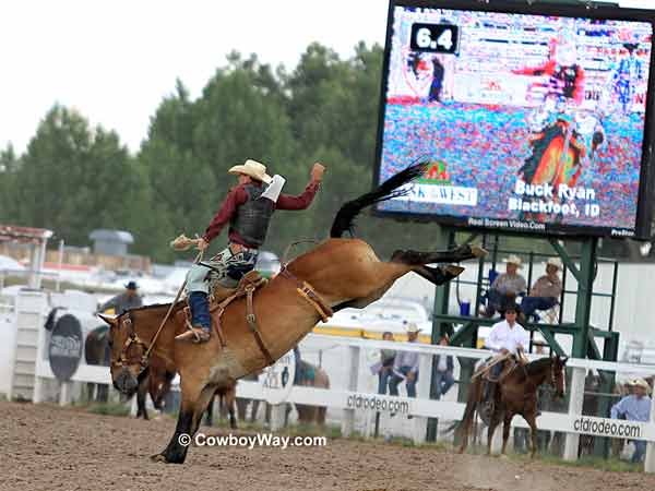 Saddle bronc rider Buck Ryan and Stepper