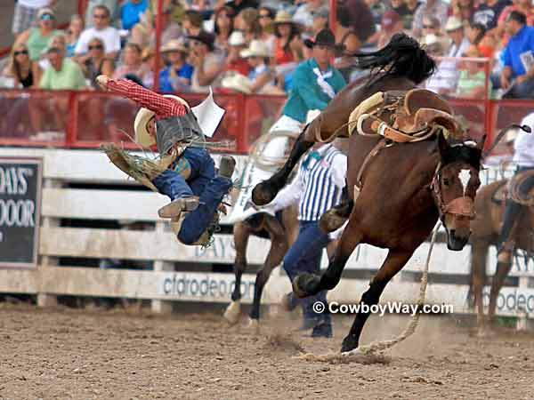 Saddle bronc rider getting bucked off Saddle bronc rider getting bucked off