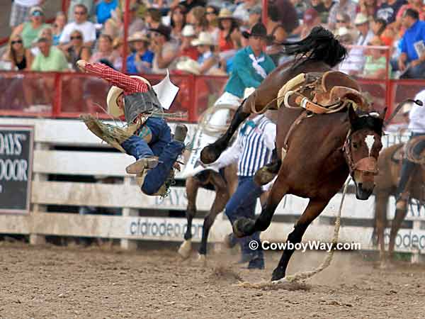 Saddle bronc rider getting bucked off