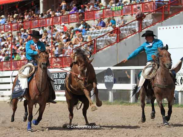 A saddle bronc and pickup man at the Cheyenne Frontier Days Rodeo