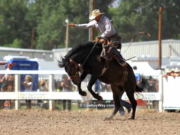 Saddle bronc rider