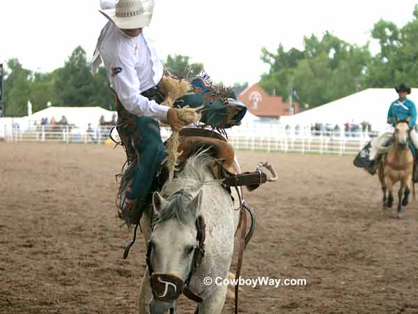 Saddle bronc close to the bucking chutes Saddle bronc close to the bucking chutes
