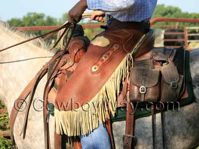 A cowboy wearing chinks to rope calves