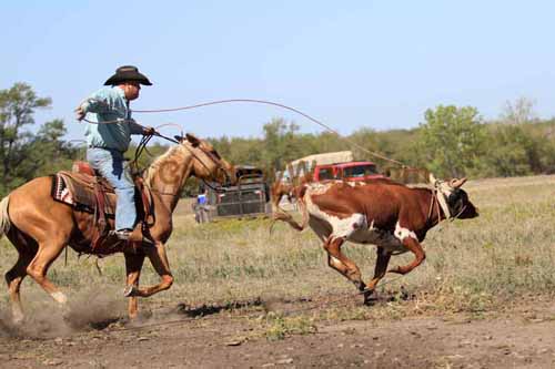 Chops Pasture Roping, 10-01-11 - Photo 38