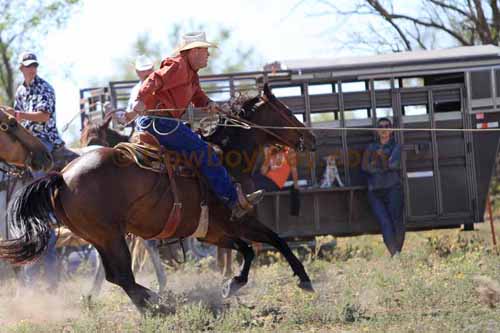 Chops Pasture Roping, 10-01-11 - Photo 49