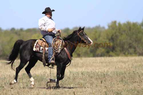 Chops Pasture Roping, 10-01-11 - Photo 50