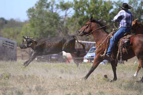 Chops Pasture Roping, 10-01-11 - Photo 77