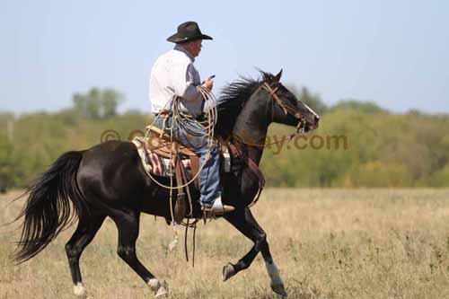 Chops Pasture Roping, 10-01-11 - Photo 83