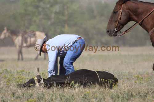 Chops Pasture Roping, 10-01-11 - Photo 18