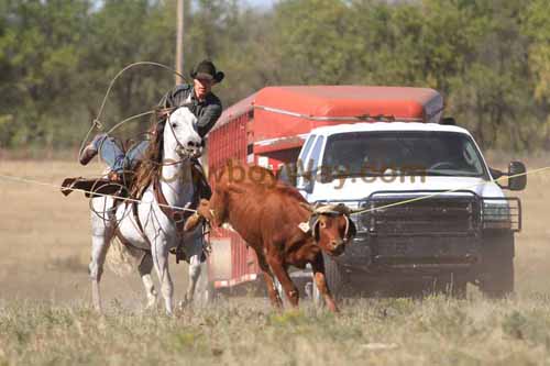 Chops Pasture Roping, 10-01-11 - Photo 21