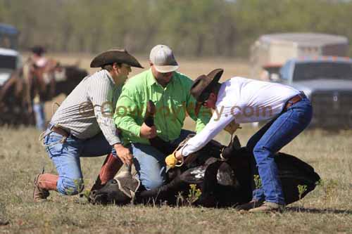 Chops Pasture Roping, 10-01-11 - Photo 25