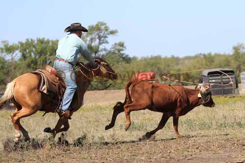 Chops Pasture Roping, 10-01-11 - Photo 32