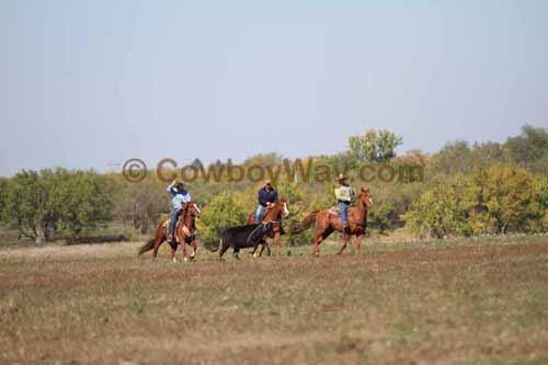 Chops Pasture Roping, 10-04-12 - Photo 31