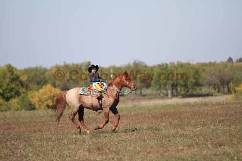 Chops Pasture Roping, 10-04-12 - Photo 33