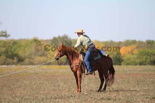 Chops Pasture Roping, 10-04-12 - Photo 37