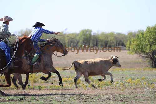 Chops Pasture Roping, 10-04-12 - Photo 38