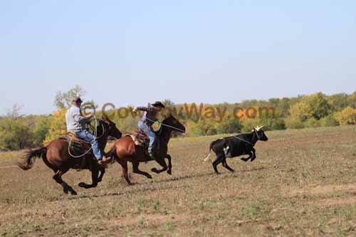 Chops Pasture Roping, 10-04-12 - Photo 39