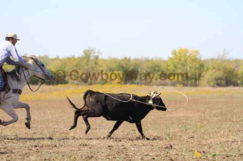 Chops Pasture Roping, 10-04-12 - Photo 49