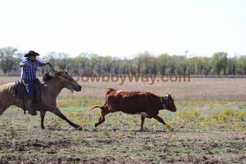 Chops Pasture Roping, 10-04-12 - Photo 64