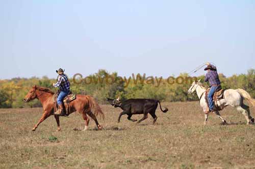 Chops Pasture Roping, 10-04-12 - Photo 65
