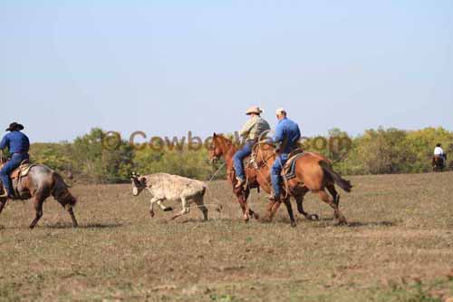 Chops Pasture Roping, 10-04-12 - Photo 69