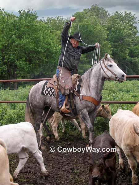 Cowboy heeling a calf
