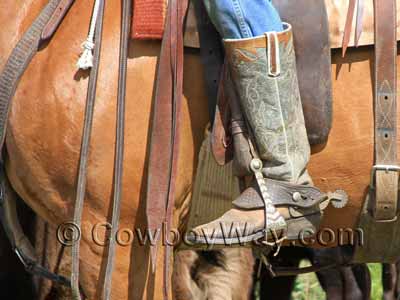 Dove wings worn by a working cowboy