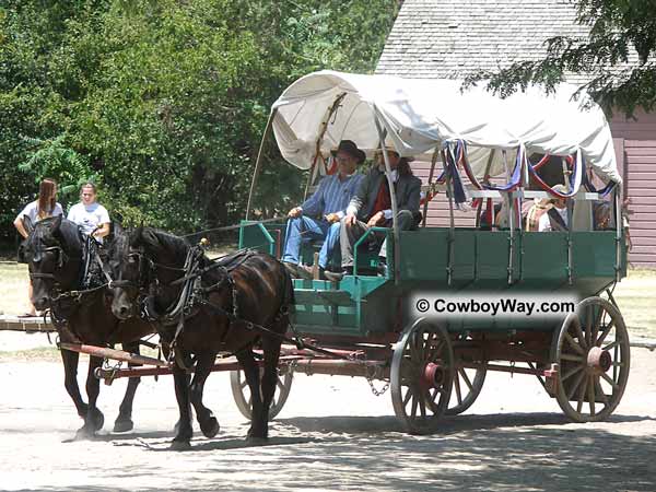 Harness horses