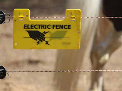 Horses grazing behind an electric fence