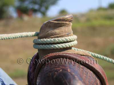 Elk hide horn wrap on a saddle horn