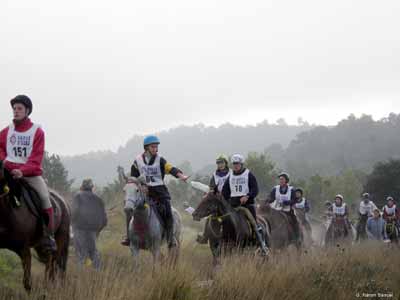 An endurance ride with several horses and riders