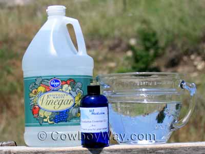Natural homemade horse fly spray ingredients