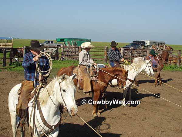 Four cowboys hold calves for the ground crew work