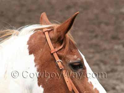 Leather, one ear headstall