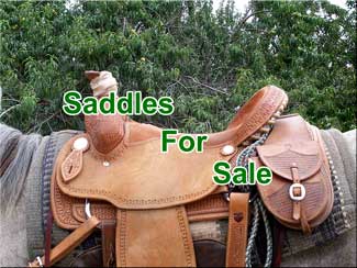 A Western roping saddle
