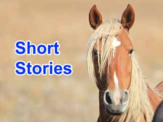 Short stories for cowboys, cowgirls, and horse lovers