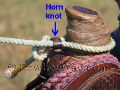 Horn knot