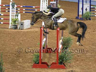 A brown horse clearing an oxer jump