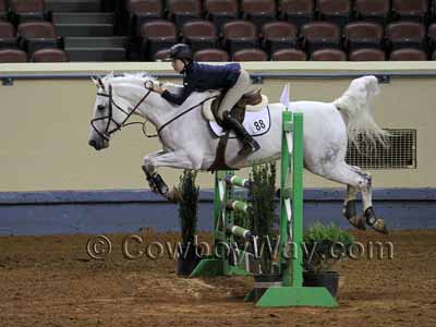 Wing jump standards with a vertical horse jump