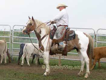 Horse names: A horse named War Pony