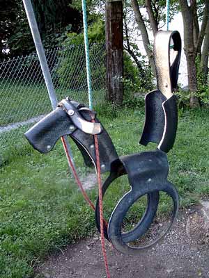 A horse tire swing