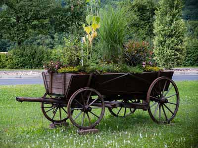A formerly horse drawn wagon being used as a planter